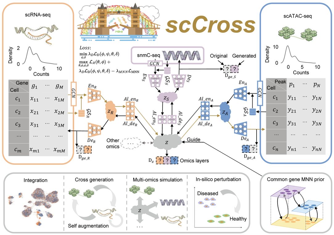 scCross 论文主图
